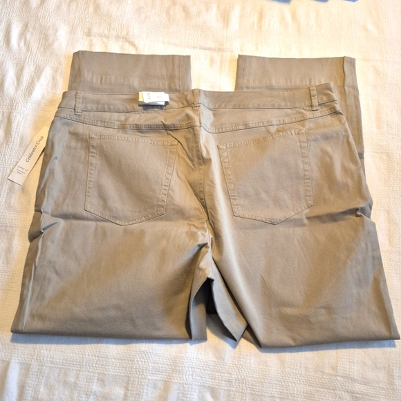 Coldwater Creek women's size 20 classic fit stretch fabric dress pants, tan, NWT - Picture 4 of 9